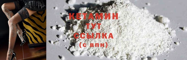 шишки Армянск