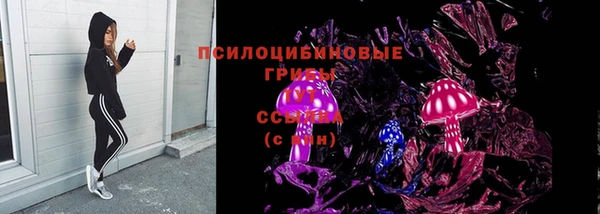 герыч Арсеньев