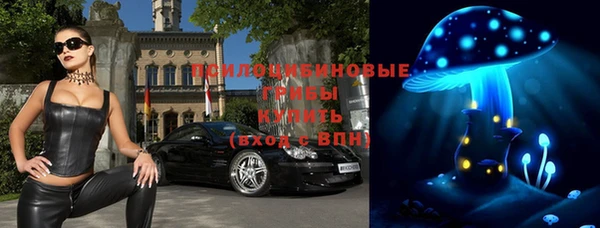 шишки Армянск
